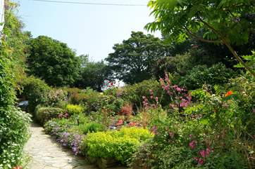 As the season progresses, the front garden flourishes and grows ever more colourful.