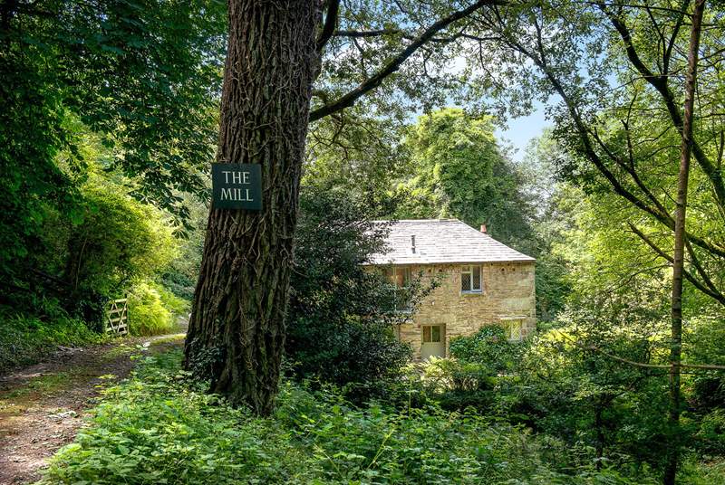 The woodland setting provides a great deal of privacy.