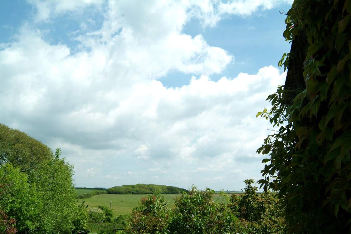 The view from the top of the stone steps which lead up to the front door.