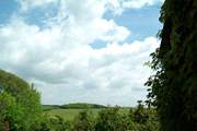 The view from the top of the stone steps which lead up to the front door.