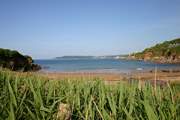 Bovisand beach looking glorious.