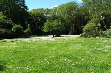 The front lawn.