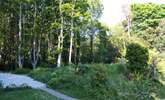 Acres of private woodland belong to the cottage. - Thumbnail Image