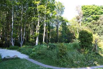 Acres of private woodland belong to the cottage.