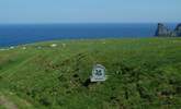 Bossiney is protected by The National Trust. - Thumbnail Image