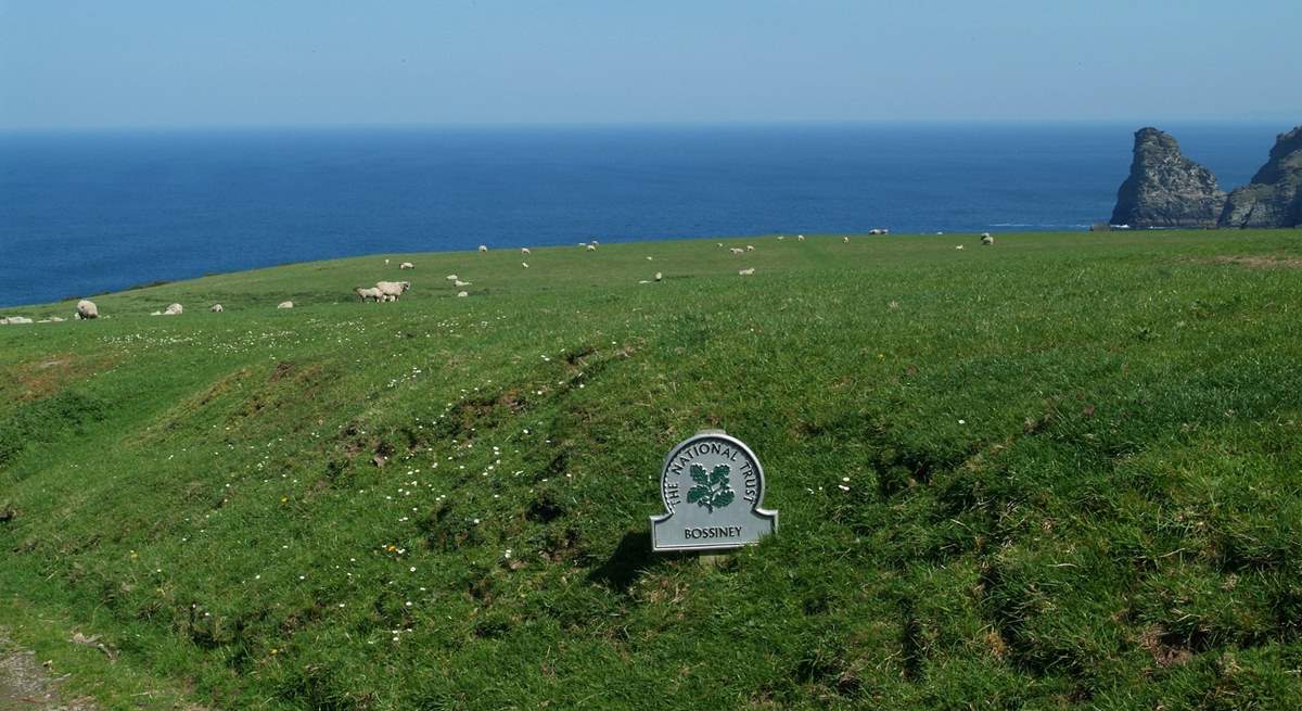 Bossiney is protected by The National Trust.