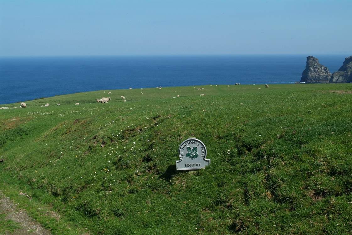 Bossiney is protected by The National Trust.