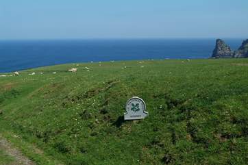Bossiney is protected by The National Trust.