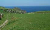 Bossiney and the coastal path are just around the corner from Bossiney View. - Thumbnail Image