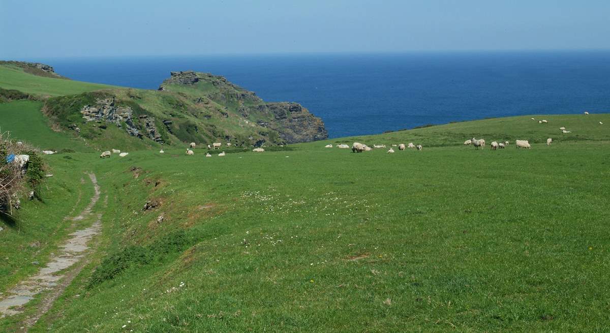 Bossiney and the coastal path are just around the corner from Bossiney View.