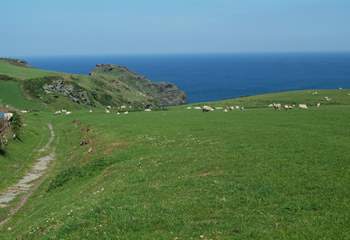 Bossiney and the coastal path are just around the corner from Bossiney View.