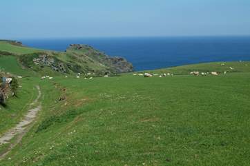 Bossiney and the coastal path are just around the corner from Bossiney View.
