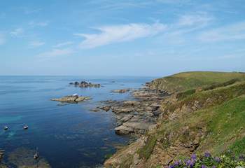 Enthusiastic walkers will enjoy exploring the spectacular South West Coast Path - this section is at Lizard Point.