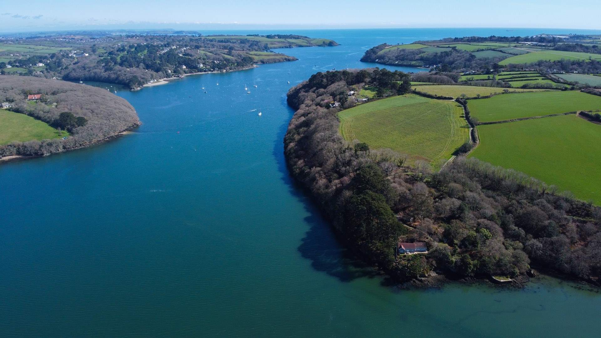 West Cornwall has some magical locations, this is Frenchman's Creek on the Helford.