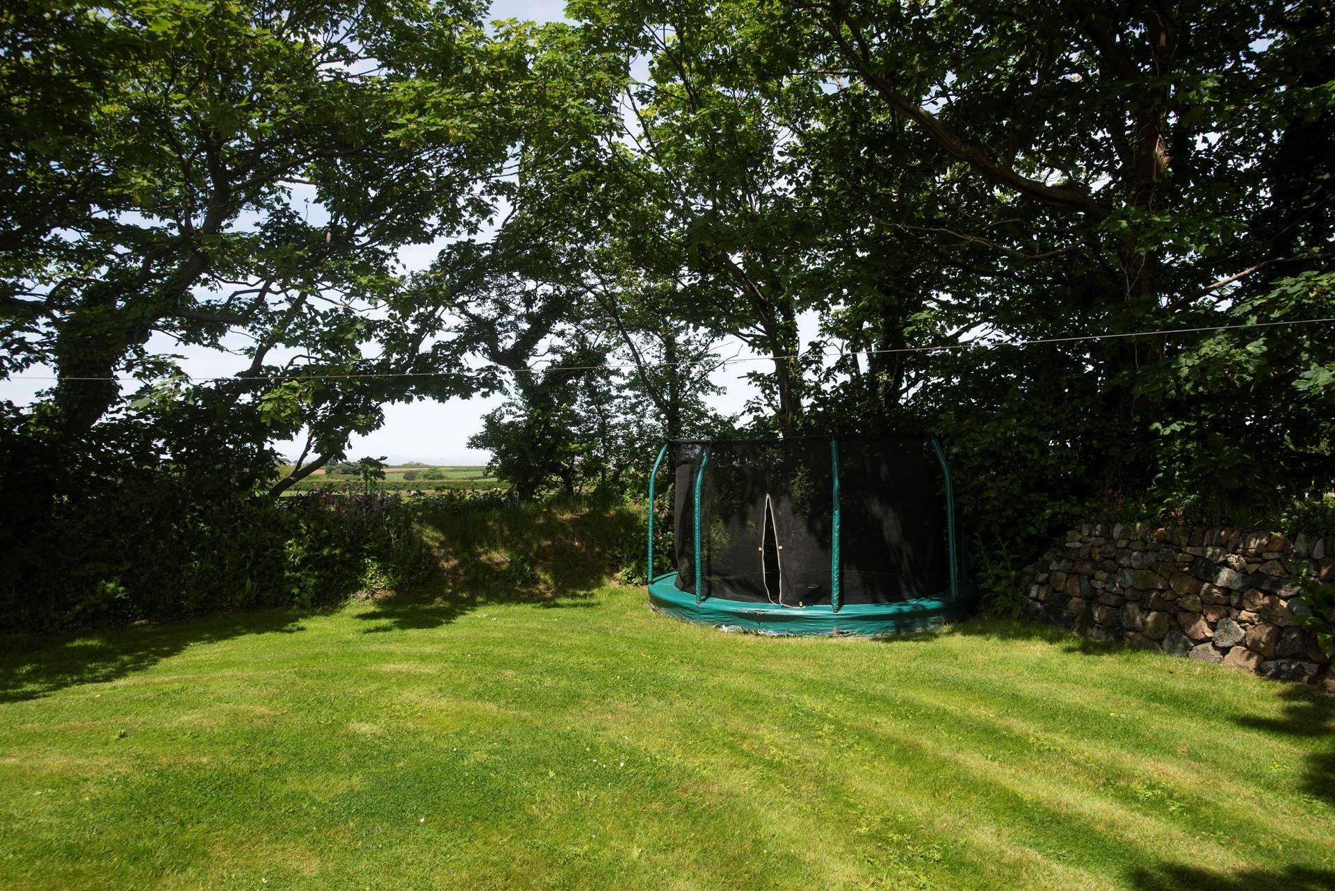Burn off some energy on the trampoline!