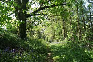 Guests can walk through the owners' lovely woods and fields.