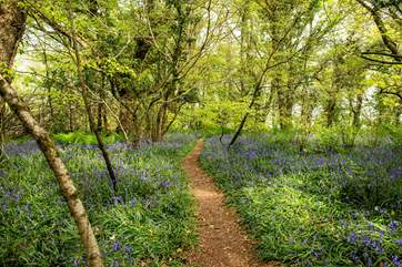 Guests can walk through the owners' lovely woods and fields.
