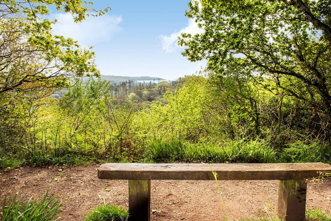 Stroll down through the woods to find this magical spot.