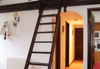 The wall ladder leading up to the 'den' -  please supervise younger children on their way up and down.