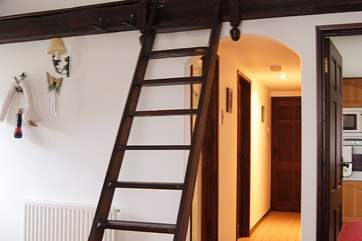 The wall ladder leading up to the 'den' - please supervise younger children on their way up and down.