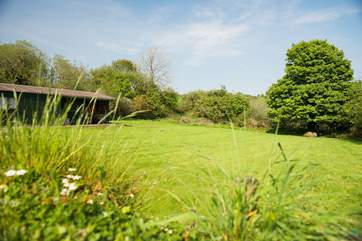 At the side of the cottage, the paddock is the perfect place for younger children to run around and play....