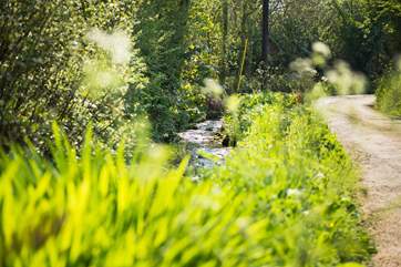 A little stream runs alongside the lane in front of the cottage.