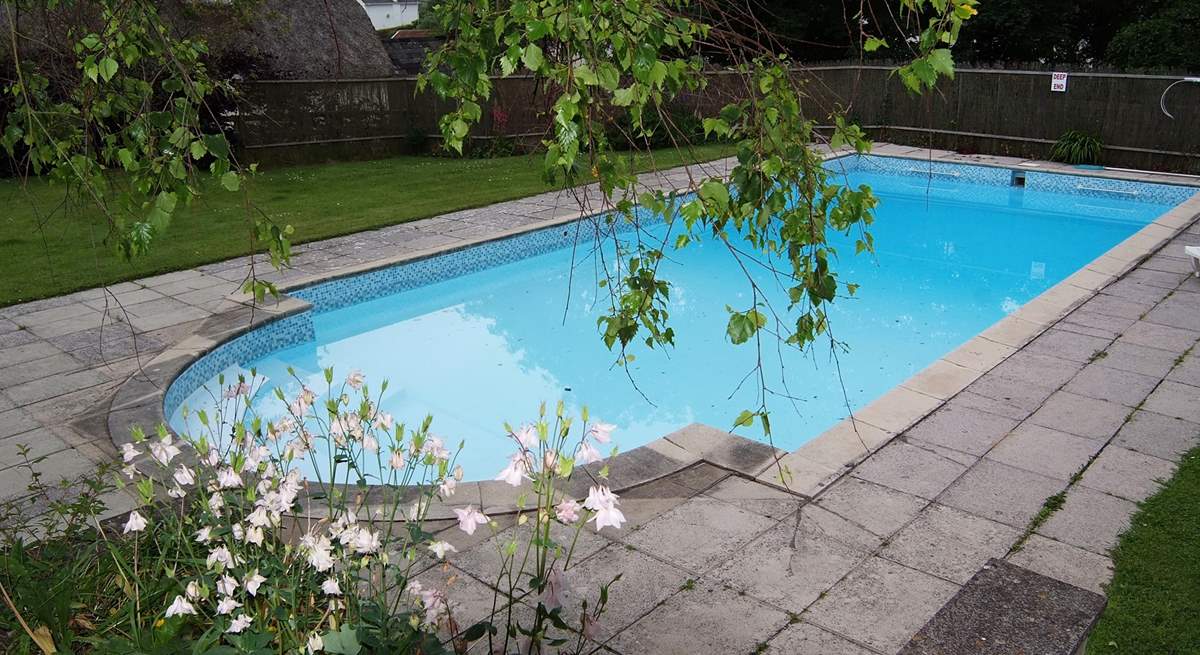 Another view of the lovely pool - from the top of the steps from the cottage.