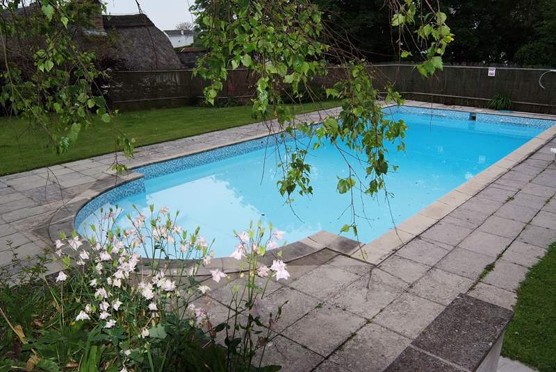 Another view of the lovely pool - from the top of the steps from the cottage.