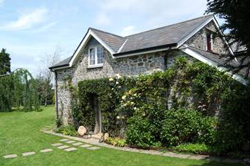 Roses around the cottage entrance in the spring. The door to the games-room is on the left (not shown).