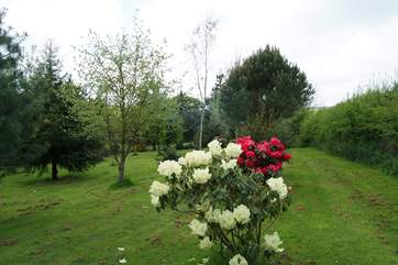 The Owners' grounds have loads of lovely walks - and the arboretum is just right for exercising the dog.