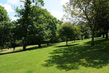 The grounds.