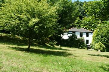 Looking across the grounds to the cottage.
