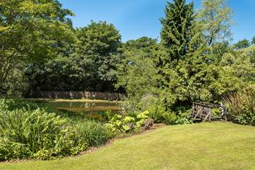 The pretty wildlife pond- please take care with toddlers