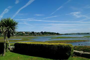 Hayle estuary is a bird watchers' paradise.