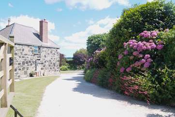 The driveway leading round to the front of the farmhouse, welcome to Tretharrup.