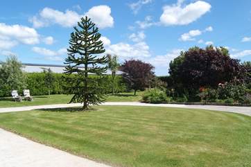 Plenty of space for the kids to run around and for the grown ups to relax.