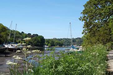 Looking across the end of the creek from the road leading into Port Navas, just down the hill from Gate Acre.