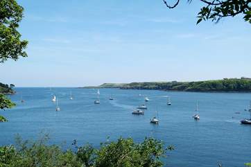 The view in the other direction, where the Helford River meets the sea.