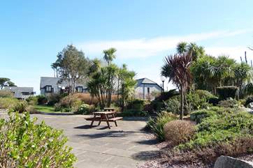 Looking from the Leisure Centre towards some of the cottages.