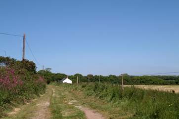 Yellow Blossom Cottage is at the end of a track.