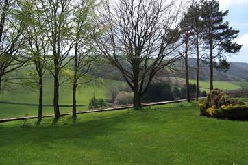 A final view of this stunning hilltop garden. Wide open space yet completely private.