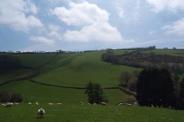 This is the view from the house and garden - there is also a footpath from the side of the house down the valley and to the top of this hill.