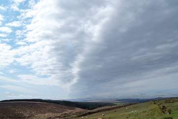 There are beautiful views throughout the area.