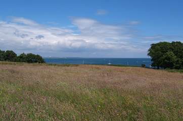 The view from the beer garden at The Bankes Arms.