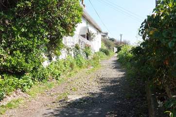 The footpath to the cottage. (Man o' War's front garden wall is in the middle of the photograph, just beyond the thatched cottage on the left.)