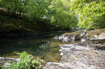 The River Tavy runs past the paddock just across the lane from the cottage. Perfect for a spot of paddling.