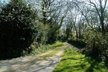 The pretty tree-lined lane and driveway.