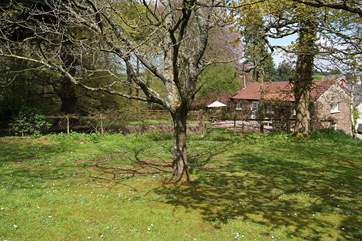 This is a view of the cottage from a little woodland field above it - where you are welcome to walk your dogs or have a picnic.