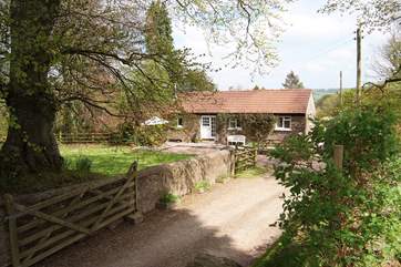 This is the entrance to the cottage. You can park by the second wooden gate, at the side of this private driveway.