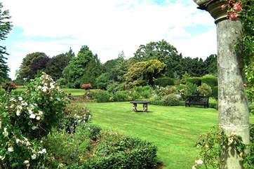 A view of the Owner's 'white' garden.